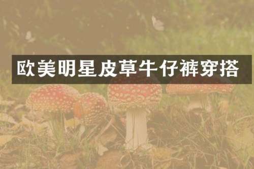 欧美明星皮草牛仔裤穿搭