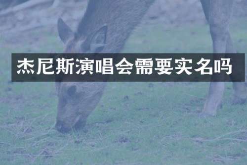 杰尼斯演唱会需要实名吗
