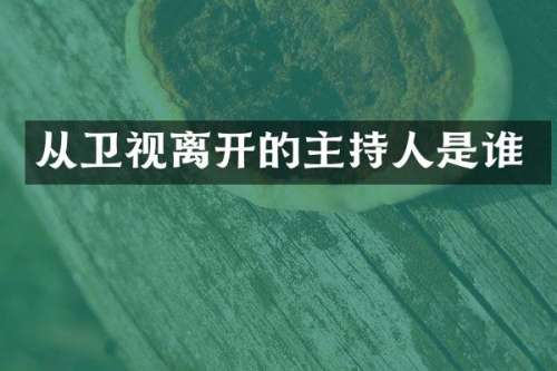 从卫视离开的主持人是谁