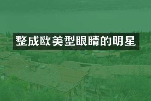 整成欧美型眼睛的明星