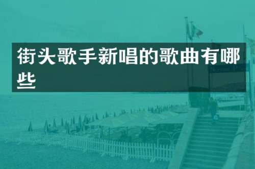 街头歌手新唱的歌曲有哪些