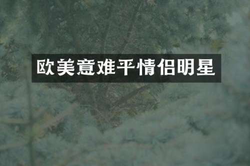 欧美意难平情侣明星