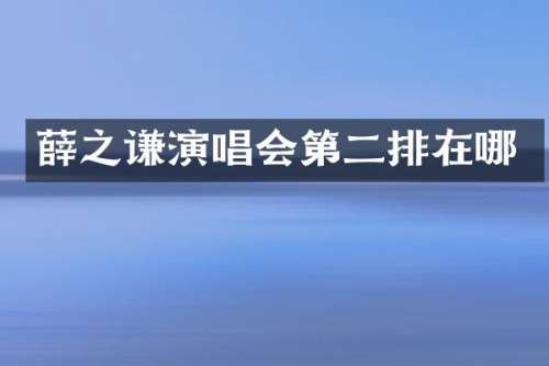 薛之谦演唱会第二排在哪