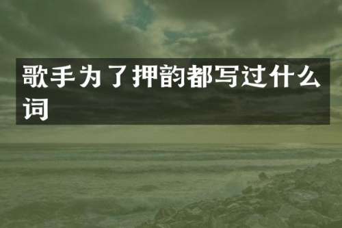 歌手为了押韵都写过什么词