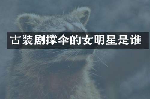 古装剧撑伞的女明星是谁
