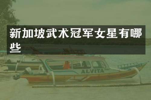 新加坡武术冠军女星有哪些