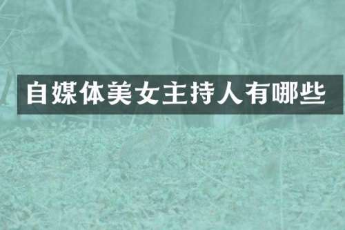 自媒体主持人有哪些