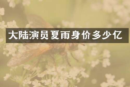 大陆演员夏雨身价多少亿