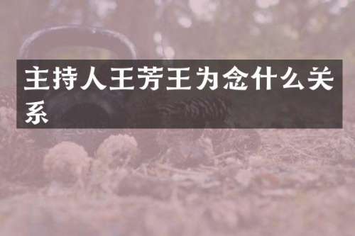 主持人王芳王为念什么关系