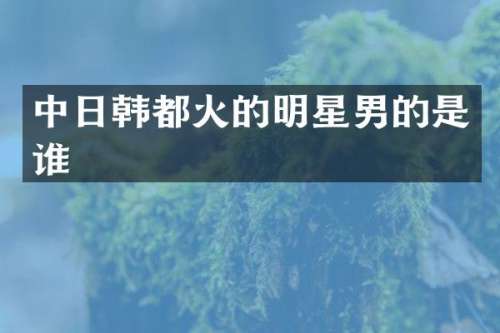 中日韩都火的明星男的是谁