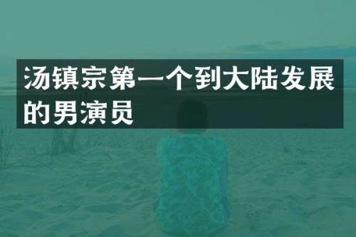 汤镇宗第一个到大陆发展的男演员