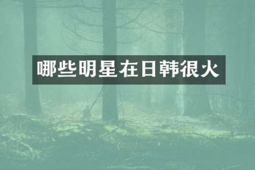 哪些明星在日韩很火