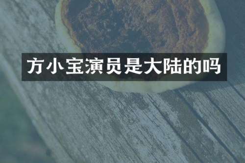 方小宝演员是大陆的吗