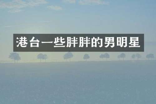港台一些胖胖的男明星