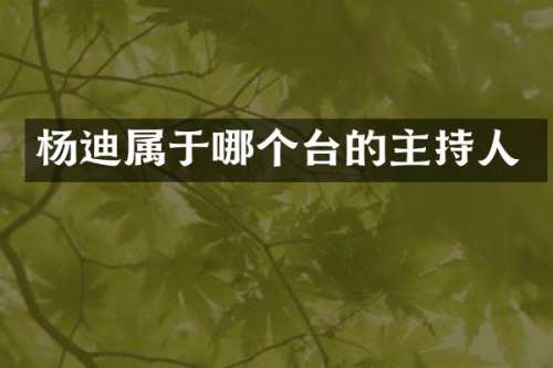 杨迪属于哪个台的主持人