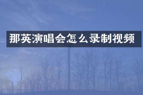 那英演唱会怎么录制视频