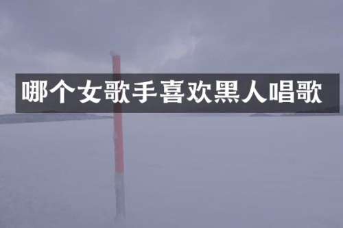 哪个女歌手喜欢黑人唱歌