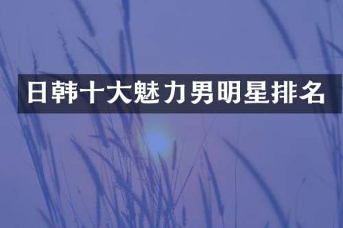 日韩十大魅力男明星排名