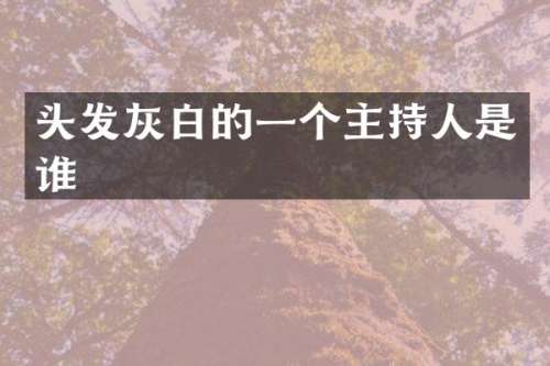 头发灰白的一个主持人是谁