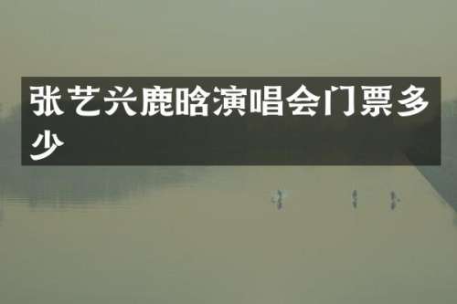 张艺兴鹿晗演唱会门票多少