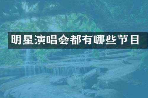 明星演唱会都有哪些节目