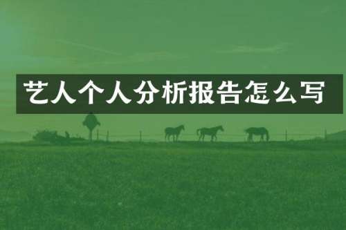 艺人个人分析报告怎么写