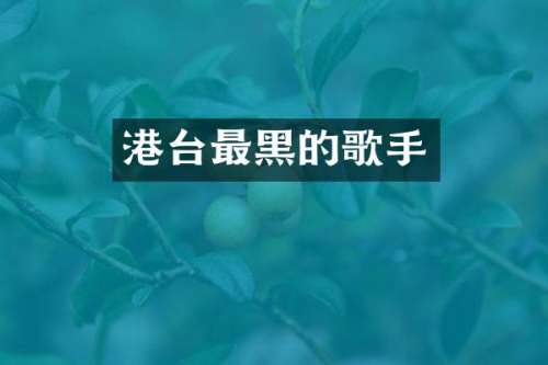 港台最黑的歌手