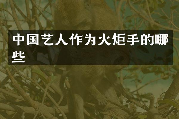 中国艺人作为火炬手的哪些