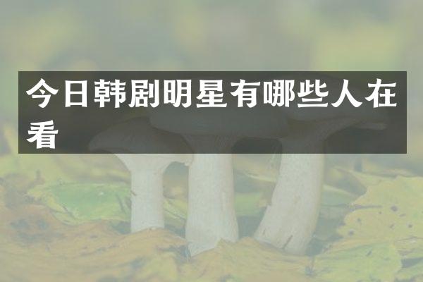 今日韩剧明星有哪些人在看