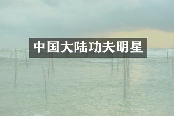 中国大陆功夫明星