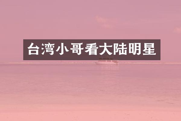 台湾小哥看大陆明星