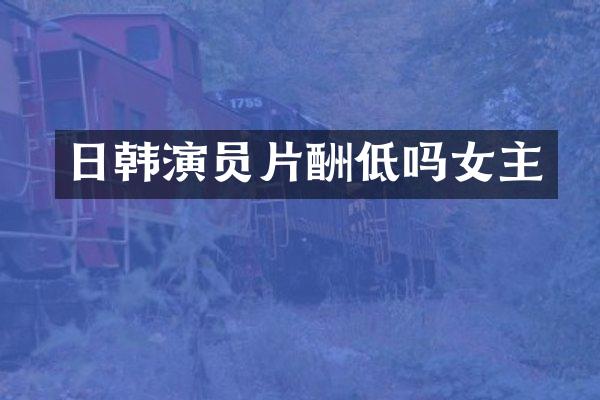 日韩演员片酬低吗女主