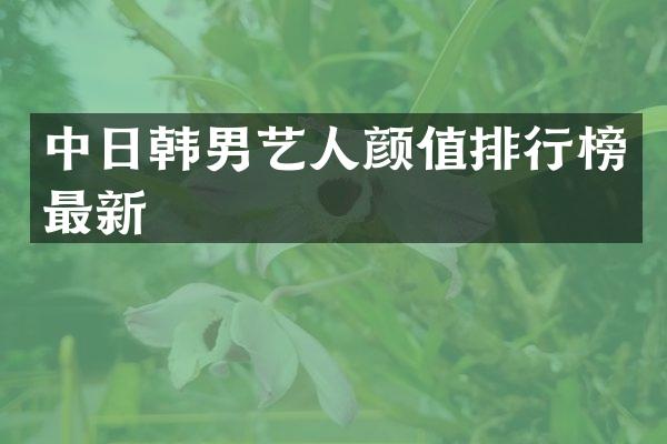 中日韩男艺人颜值排行榜最新