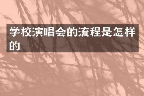 学校演唱会的流程是怎样的