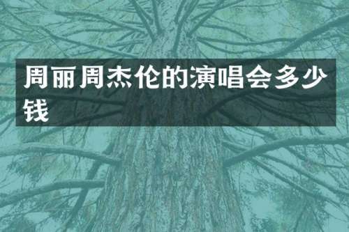 周丽周杰伦的演唱会多少钱