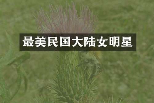 最美民国大陆女明星