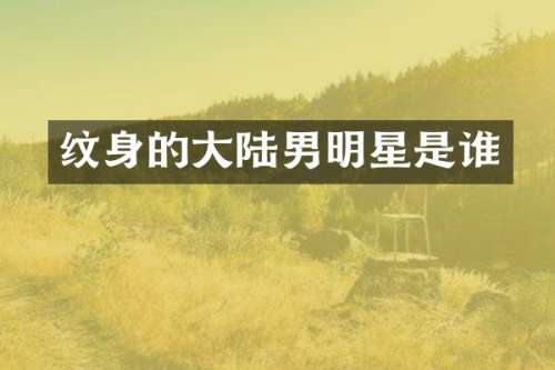 纹身的大陆男明星是谁