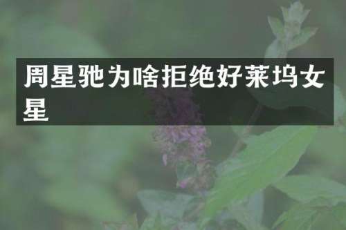 周星驰为啥拒绝好莱坞女星
