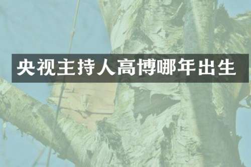 央视主持人高博哪年出生
