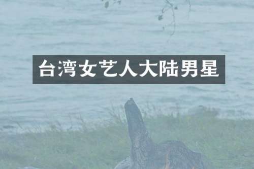 台湾女艺人大陆男星