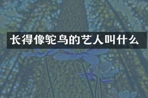 长得像鸵鸟的艺人叫什么