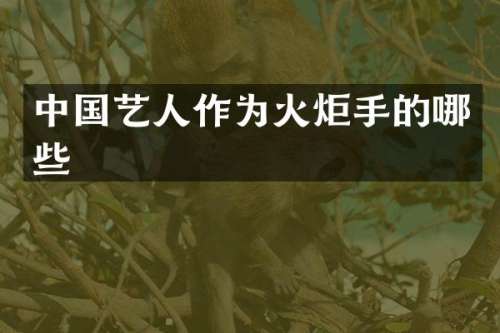 中国艺人作为火炬手的哪些