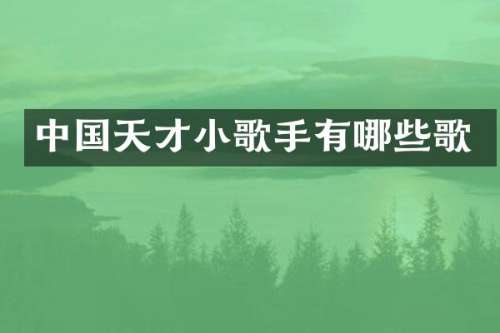 中国天才小歌手有哪些歌