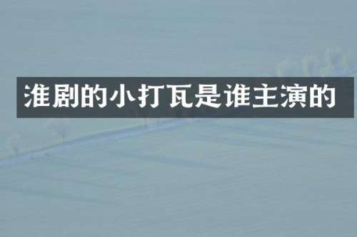 淮剧的小打瓦是谁主演的