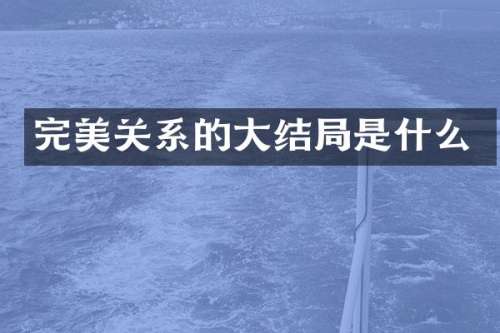 完美关系的大结局是什么