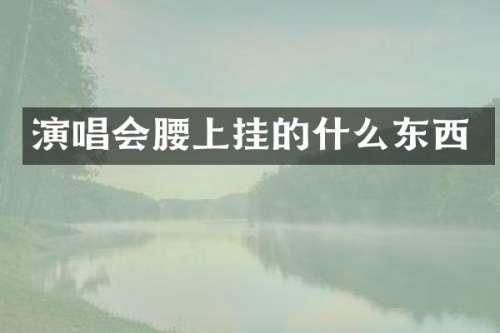 演唱会腰上挂的什么东西