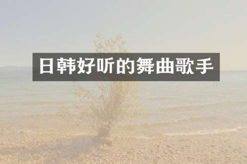 日韩好听的舞曲歌手
