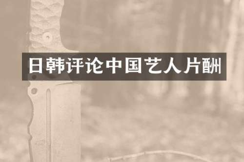 日韩评论中国艺人片酬