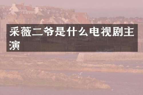 采薇二爷是什么电视剧主演