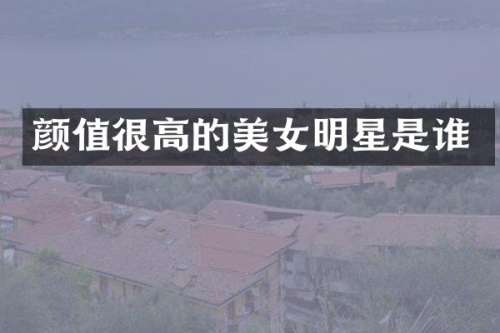 颜值很高的明星是谁